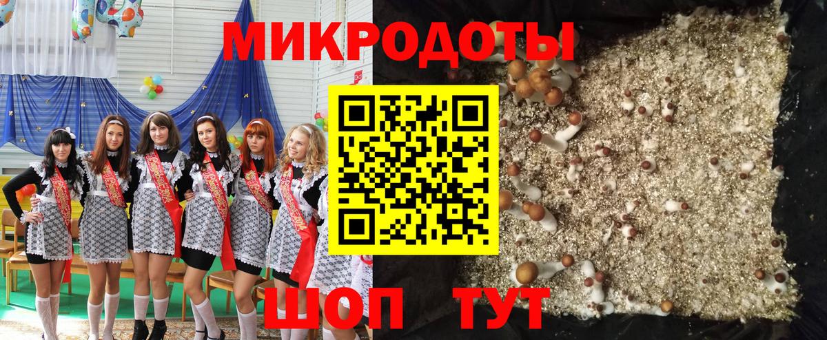 Галлюциногенные грибы Psilocybe  Галлюциногенные грибы мухоморы  Сорочинск  Вход с VPN 